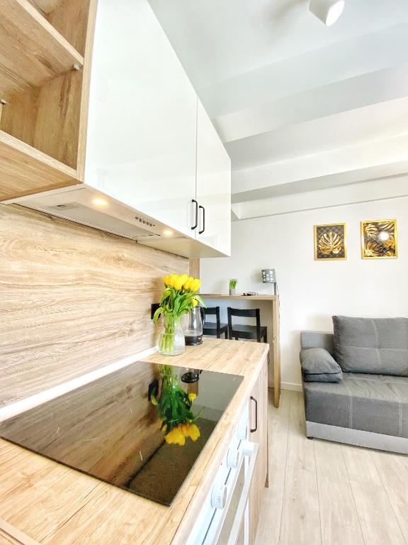 BP Apartment VI - Resim 13