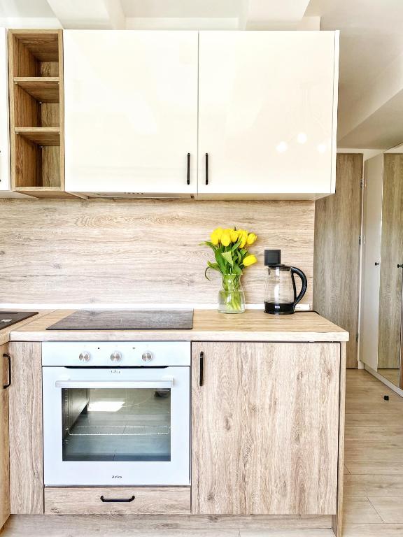 BP Apartment VI - Resim 10