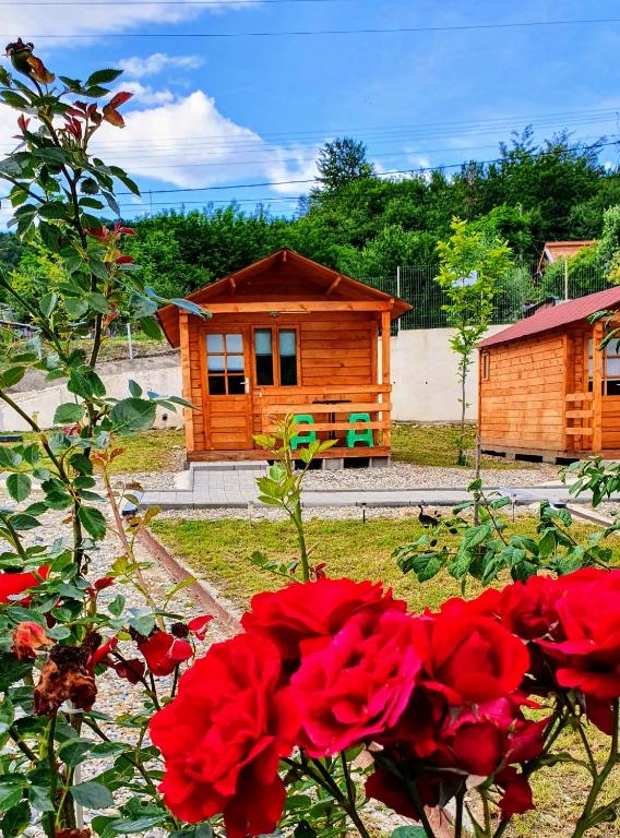 Complex Căsuțe Ocnele Mari