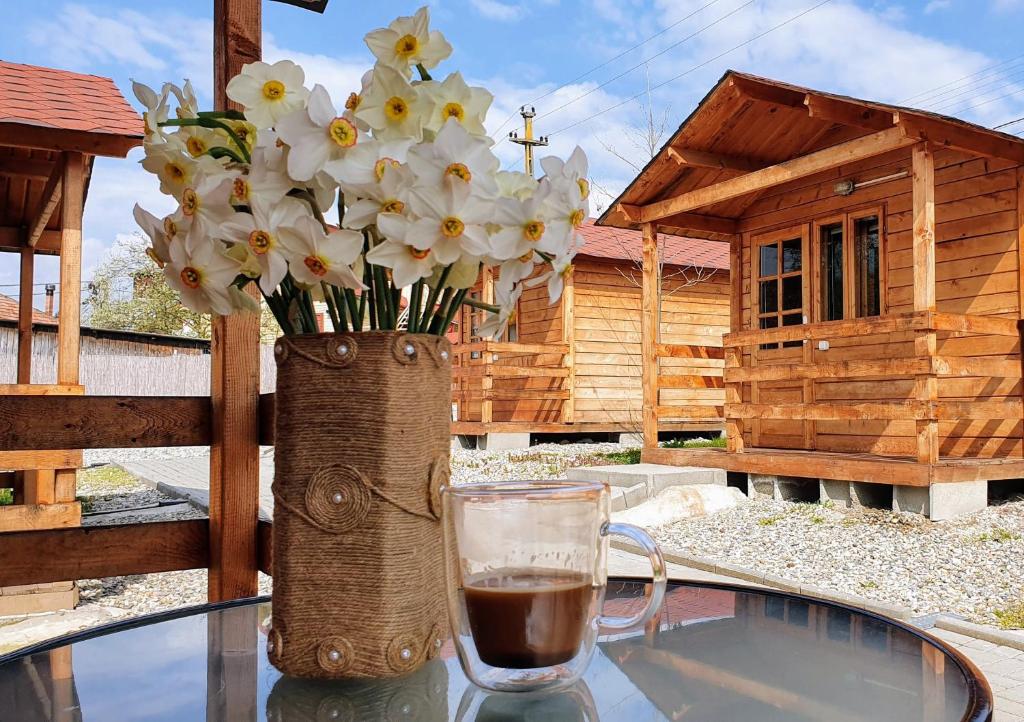 Complex Căsuțe Ocnele Mari