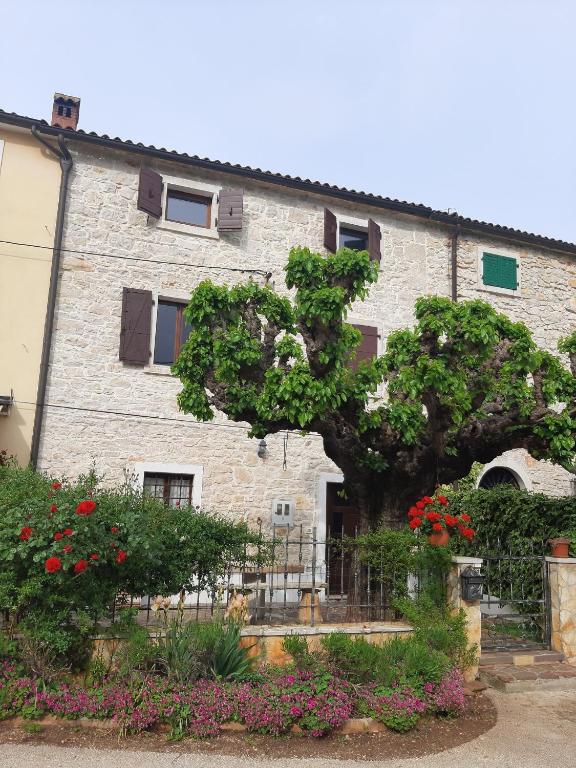 Vonkajšia záhrada v ubytovaní Casa Girasole