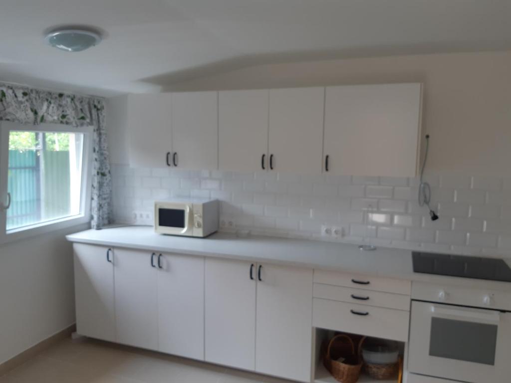Kuchyňa alebo kuchynka v ubytovaní Hostel Zamárdi