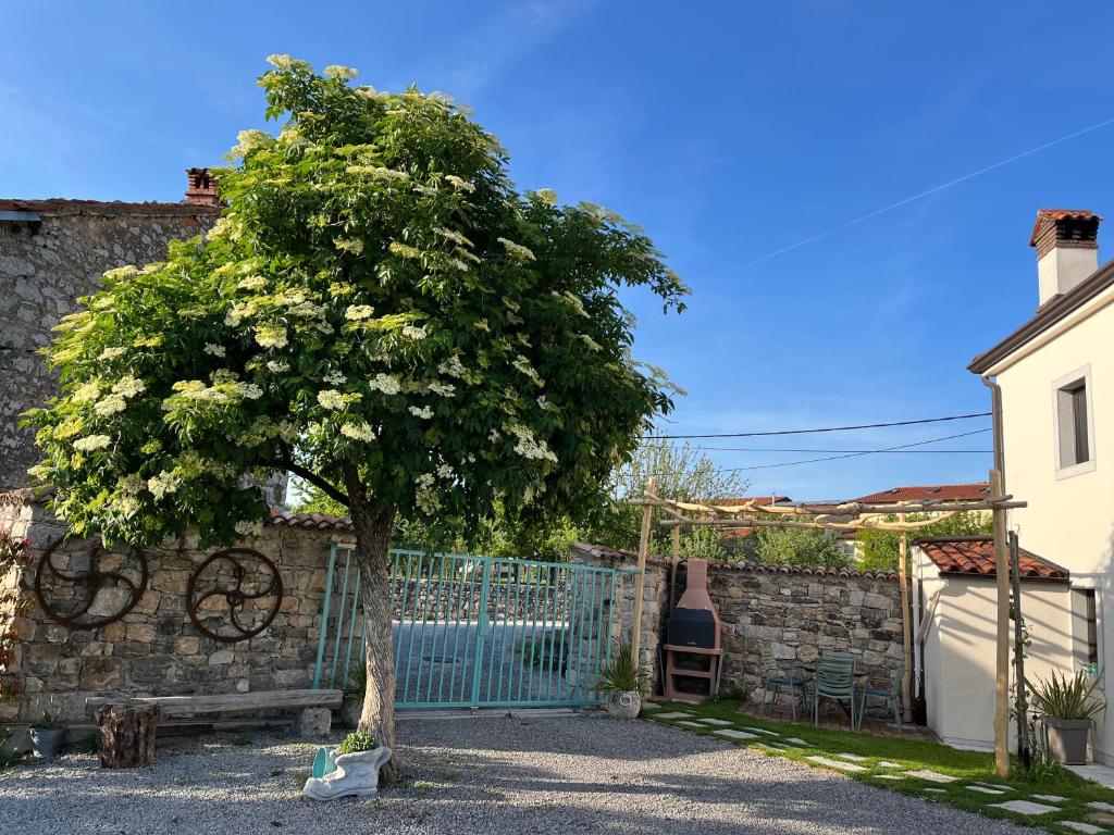 Fotografie z fotogalerie ubytování Apartma Ob stari murvi, Sežana v destinaci Sežana