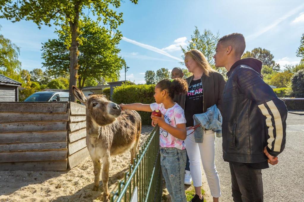 Hosté ubytování EuroParcs Molengroet