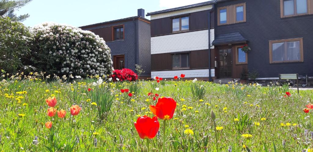 a field of flowers in front of a building at Ferienwohnung Berndt in Meuselbach-Schwarzmühle