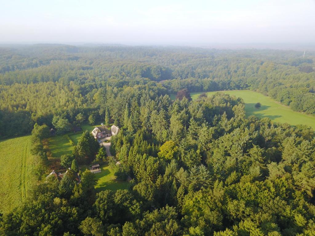 an aerial view of a house in a forest at Landgoed Dennenholt - 5 unique holiday homes in Vierhouten