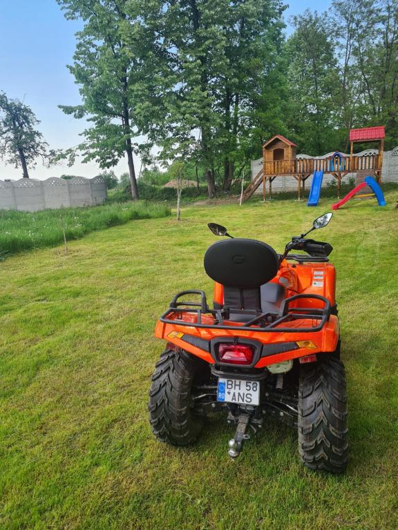 Zahrada ubytování Pensiunea Anisoara