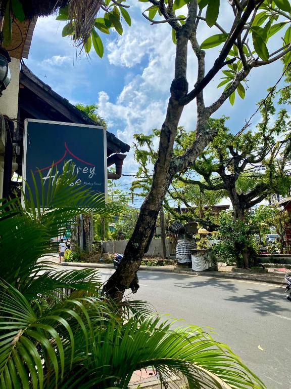 Kebun di luar Grey House Monkey Forest