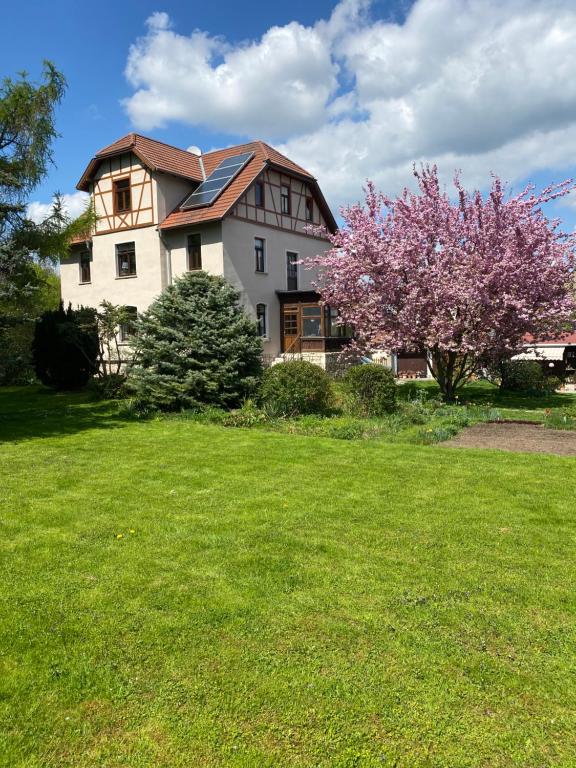 une maison avec un arbre à fleurs devant une cour dans l'établissement Apartment Hohe Pappel Weimar, à Weimar