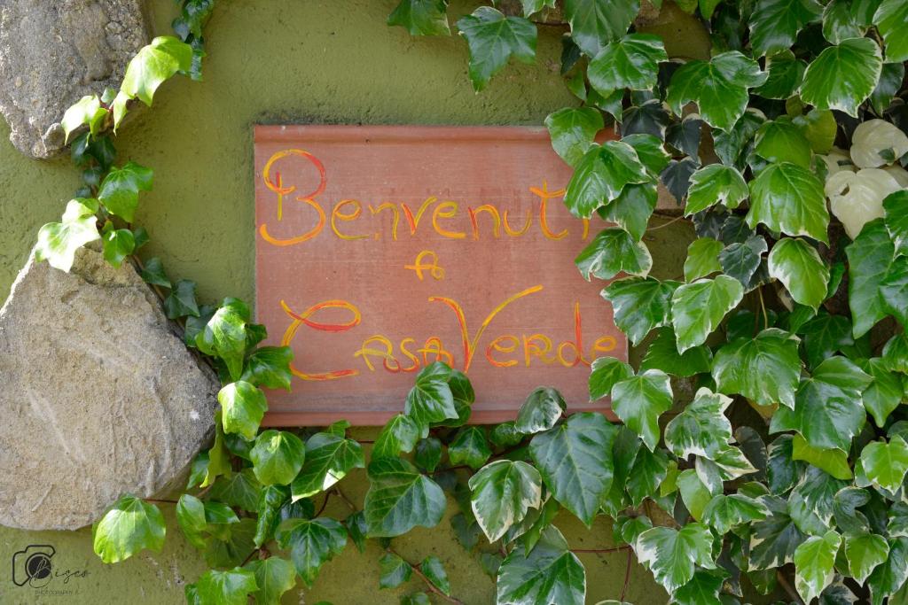Kép Casa Verde Country House szállásáról Montescudaióban a galériában