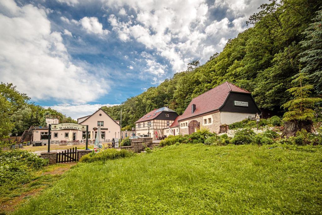 um grupo de casas numa colina com relva verde em Waldkasino Walkmühle em Sangerhausen
