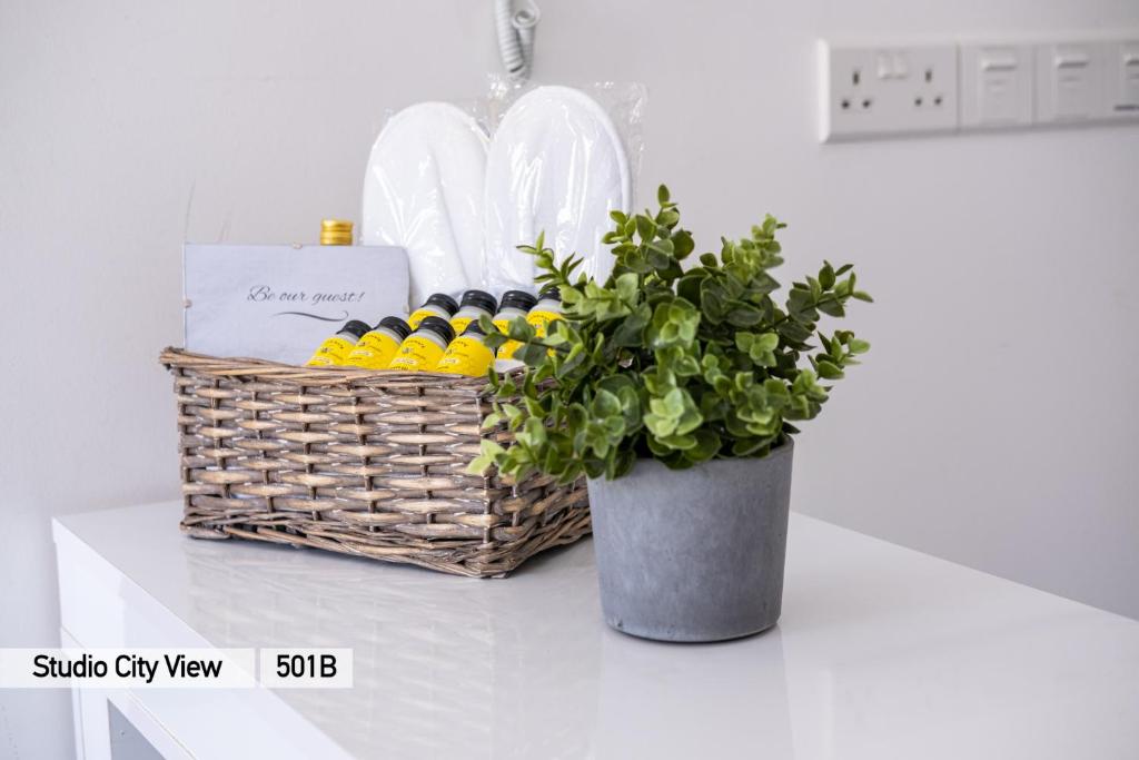 a basket of eggs and a potted plant on a counter at Lazuli City & Seaview Apartments in Larnaca