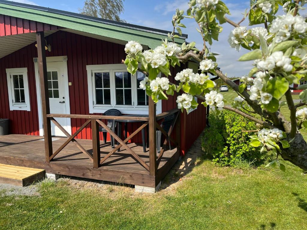 Zahrada ubytování Mälarhusen Semesterby Österlen - Stugor & Gårdssviter