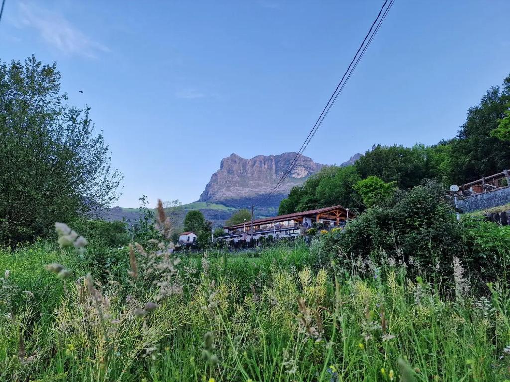 a train on a track with a mountain in the background at CAMPING RAMALES in Ramales de la Victoria