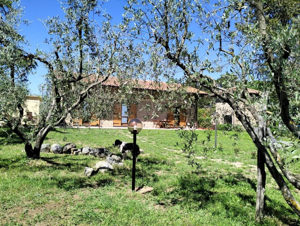Ogród w obiekcie Agriturismo La Villetta