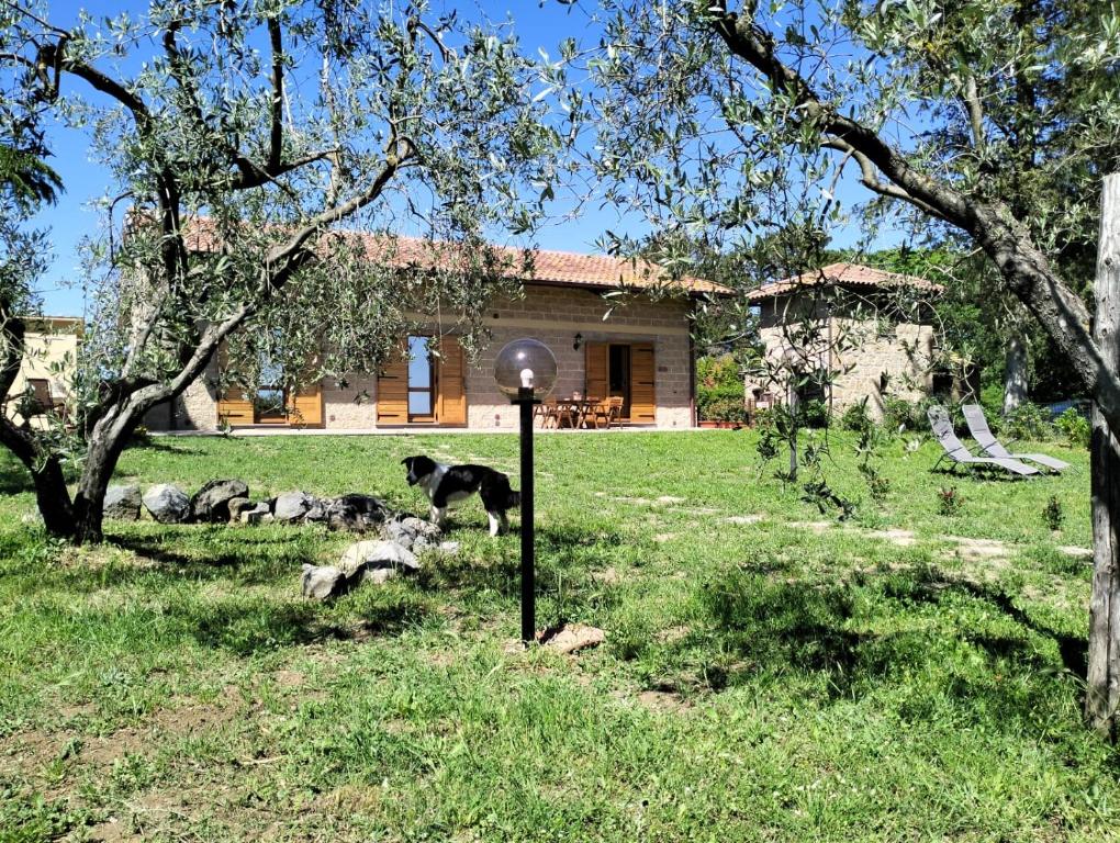 Ogród w obiekcie Agriturismo La Villetta