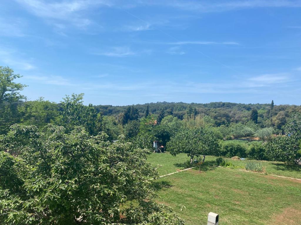 a field of grass with trees in the background at Villa Mara in Pula