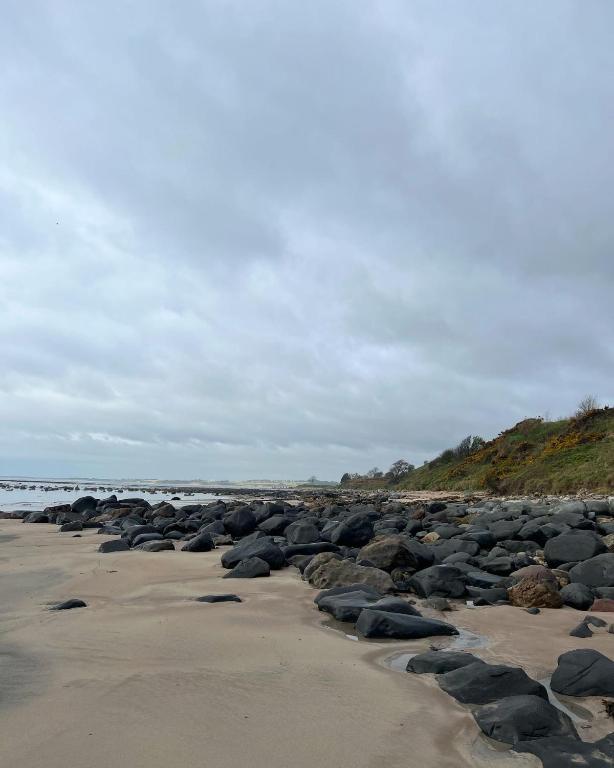 a large group of rocks on a beach at The Red Lion Inn Alnmouth in Alnmouth