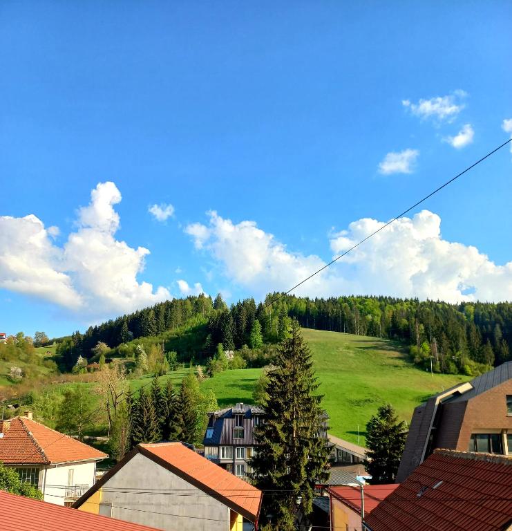 Příroda nedaleko apartmánu