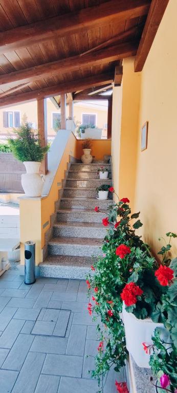 Fotografie z fotogalerie ubytování Affittacamere Stranamore v destinaci Frascati