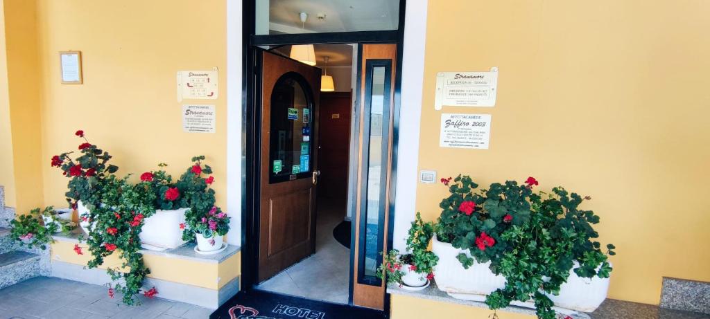 two potted plants on a wall next to a door at Affittacamere Stranamore in Frascati