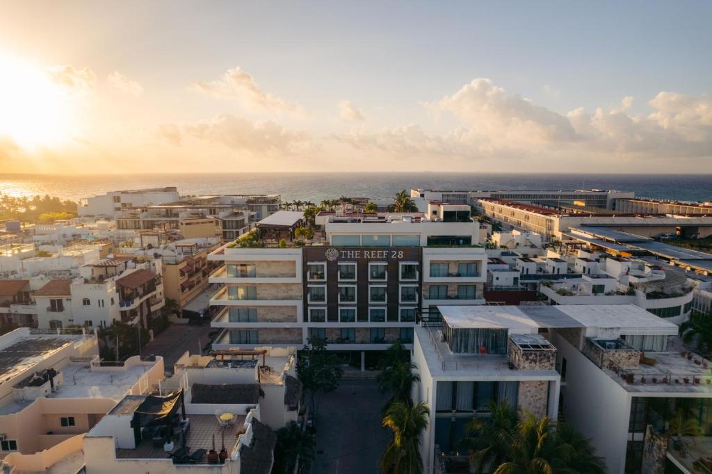 The Reef 28 – Adults Only: Tu oasis para fiesta y relax en Playa del Carmen