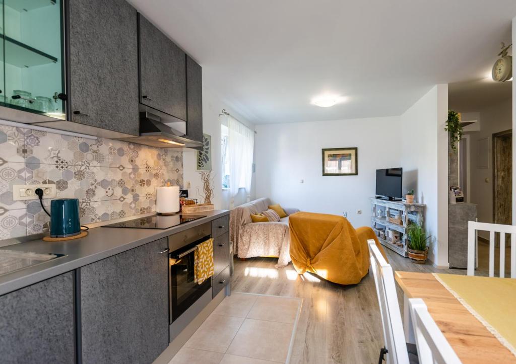 Kuchyň nebo kuchyňský kout v ubytování Apartman Tina