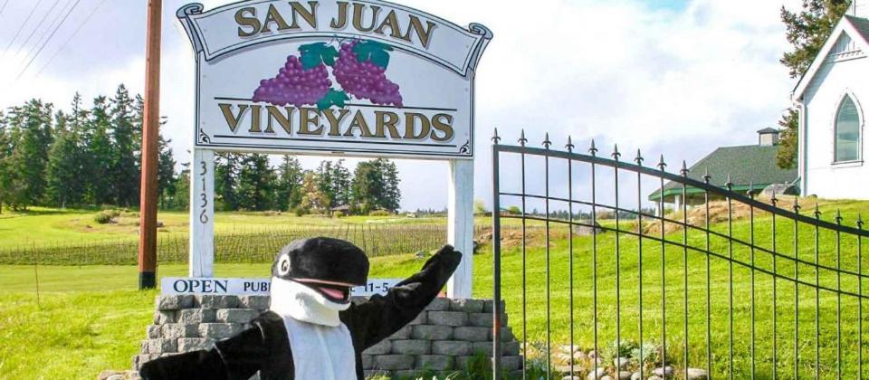 Certifikát, hodnocení, plakát nebo jiný dokument vystavený v ubytování The Orca Inn