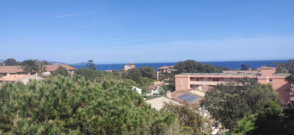 Appartement lumineux vue mer