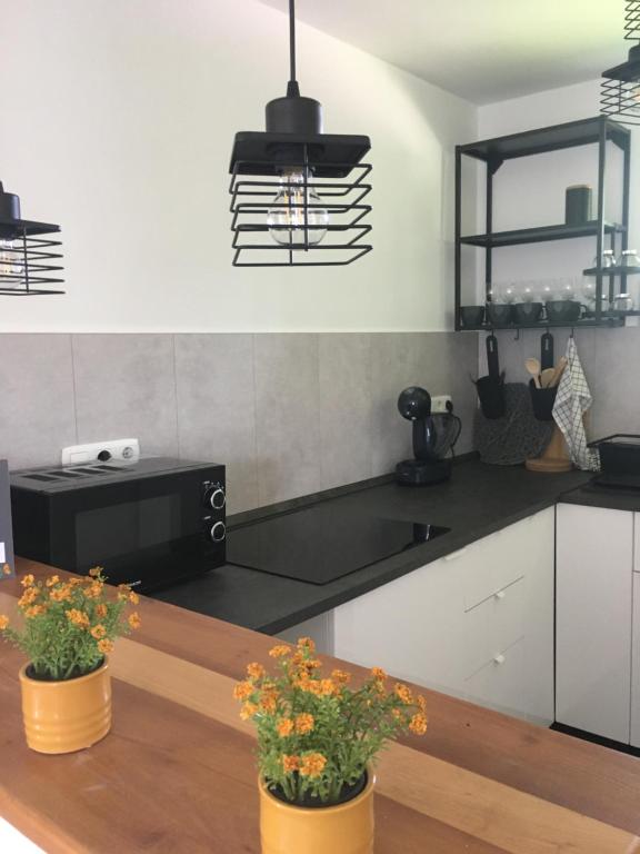 Kuchyňa alebo kuchynka v ubytovaní KATÓ APARTMAN