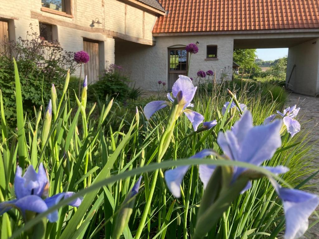 Zahrada ubytování Nachtegael Hoekhuis, knusse woning met prachtig vergezicht