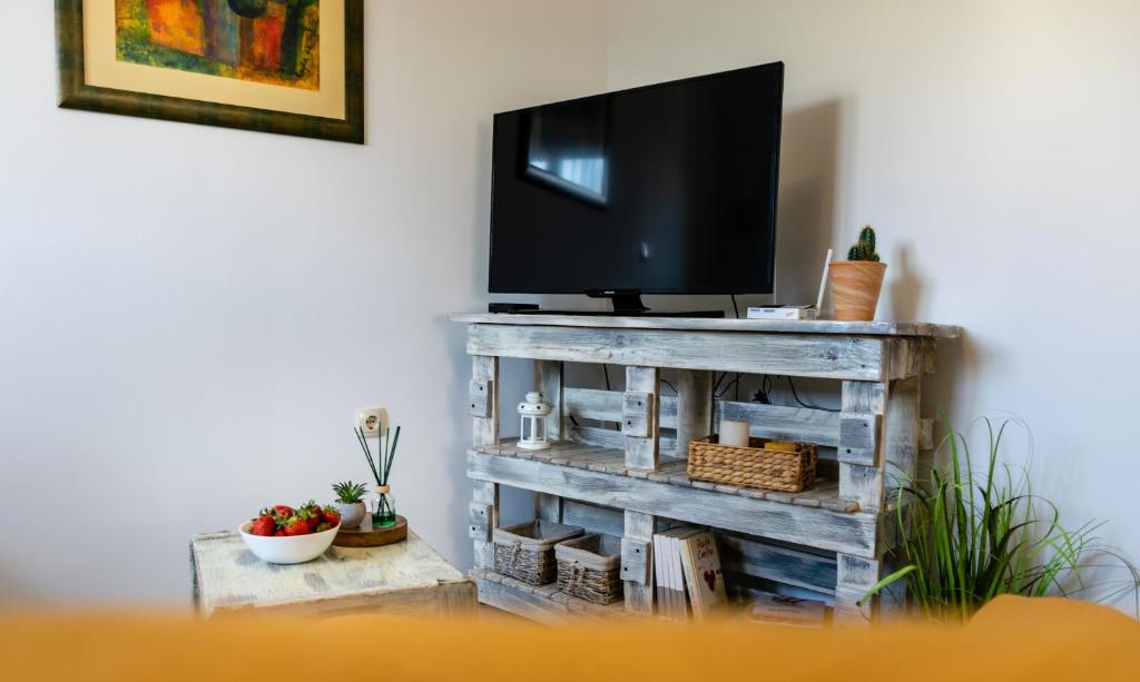 TV a/nebo společenská místnost v ubytování Apartman Tina