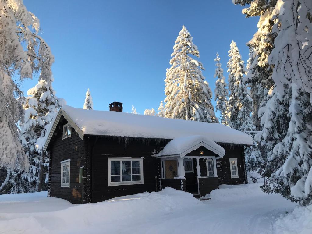 uma cabana na neve com árvores cobertas de neve em Lillfallet mysig fjällstuga med bästa läge på fjället em Sälen