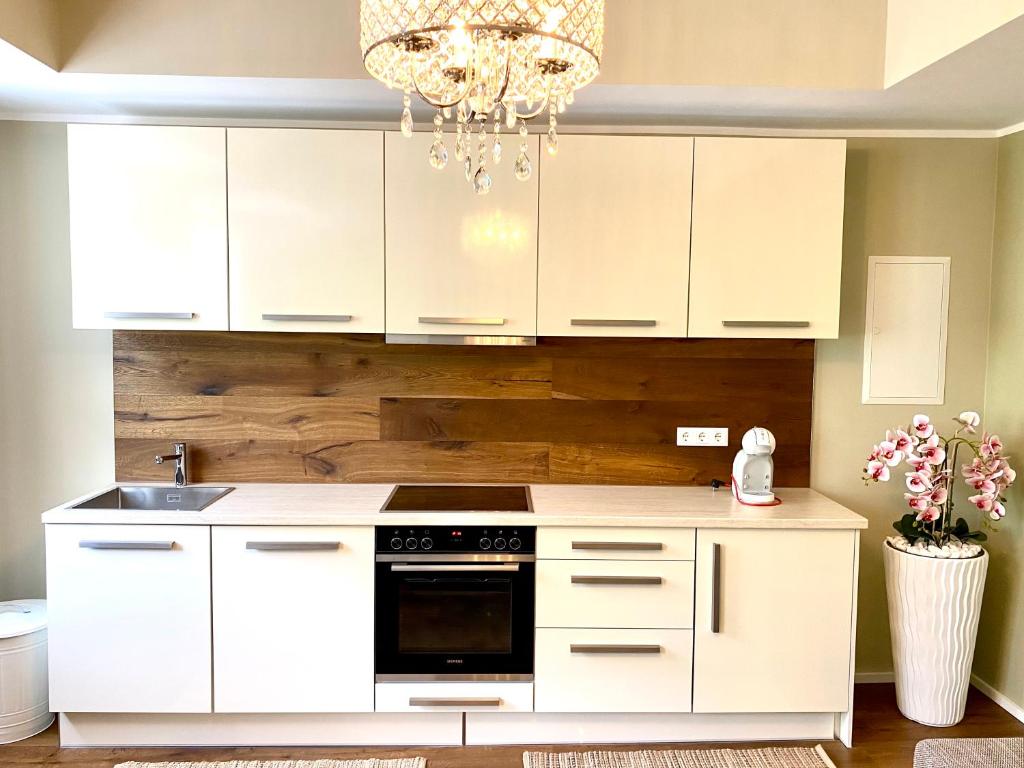 Kuchyň nebo kuchyňský kout v ubytování Moselufer Winningen Traumwohnung im „La Mosel“