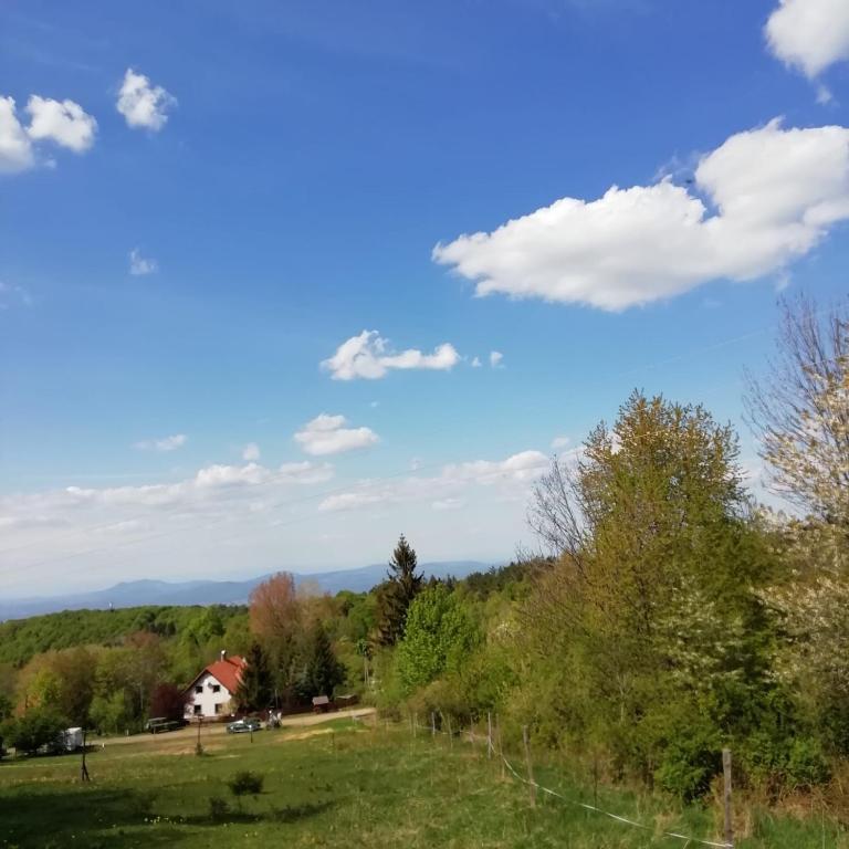 Příroda nedaleko vily