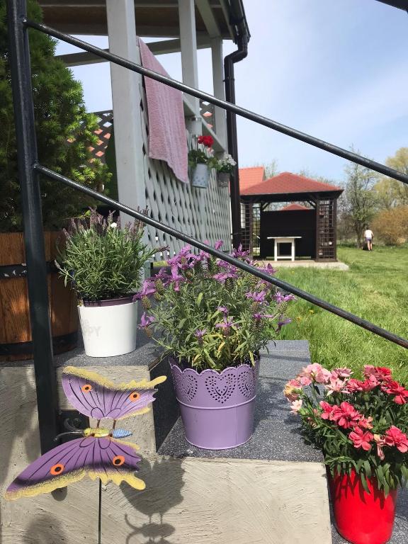 Vonkajšia záhrada v ubytovaní Bungalowfarm