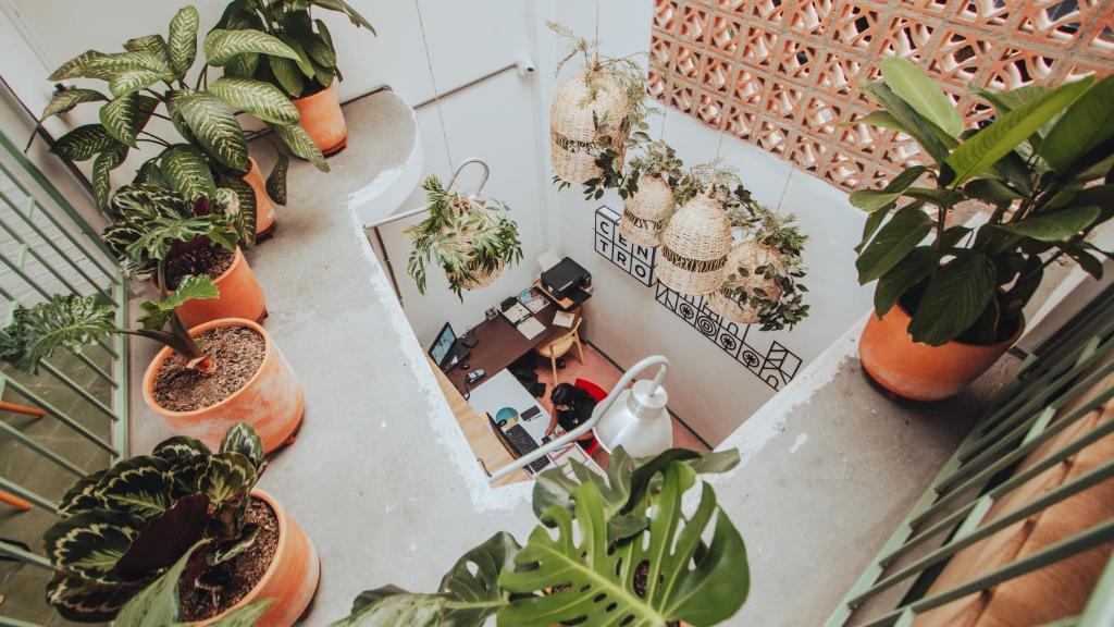 Zahrada ubytování Centro Hostel Medellin