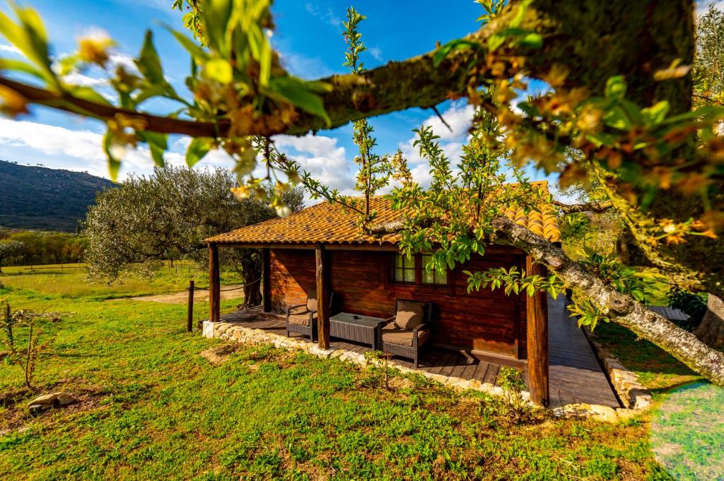 Zahrada ubytování Quinta do Quinto