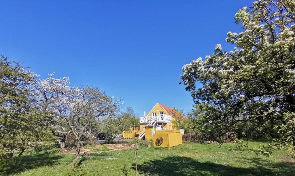 Zahrada ubytování The FIG Studio - "Den Gule Svane" Guest House - near Rønne & Beach