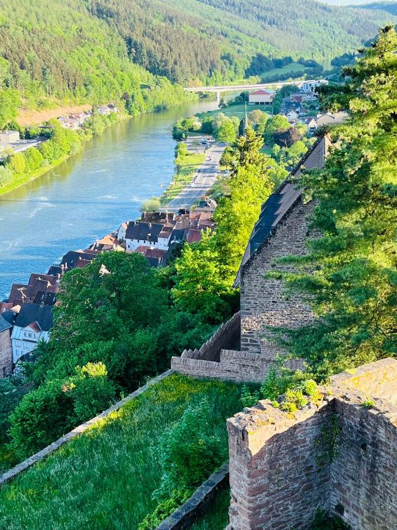 Neckarblick,Natur, Altstadt