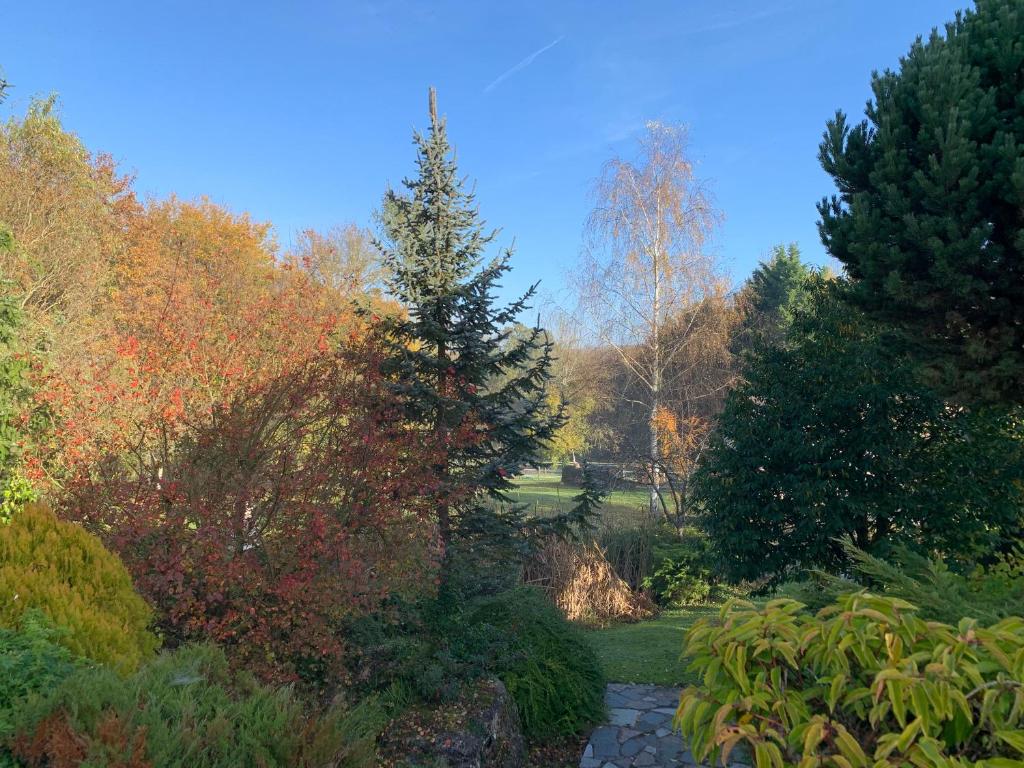 Zahrada ubytování La Grignotière Lodge & Spa