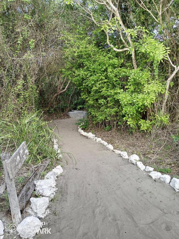 Fotografie z fotogalerie ubytování Mida Creek Eco Camp v destinaci Watamu