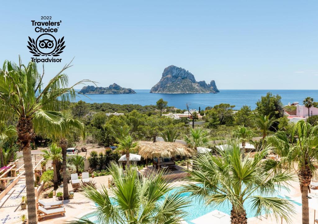 a beach with palm trees and palm trees at Petunia Ibiza - Adults Only in Cala Vadella
