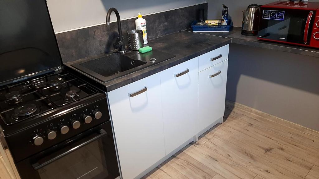 Kuchyňa alebo kuchynka v ubytovaní Apartament Kilińskiego