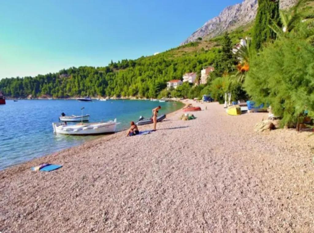 Príroda v okolí apartmánu
