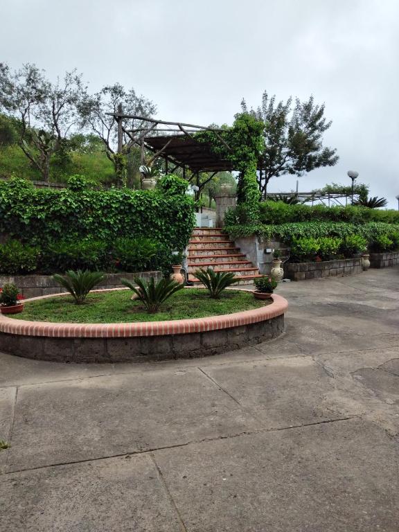 A garden outside VILLA PIETRALTA