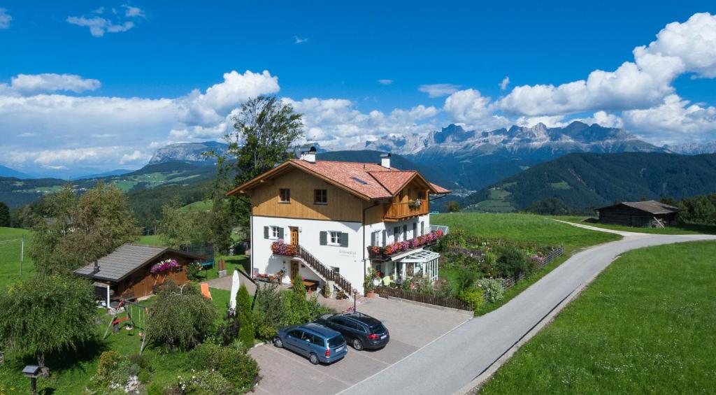 a house with two cars parked in front of a road at Haus Schlernblick in Nova Ponente