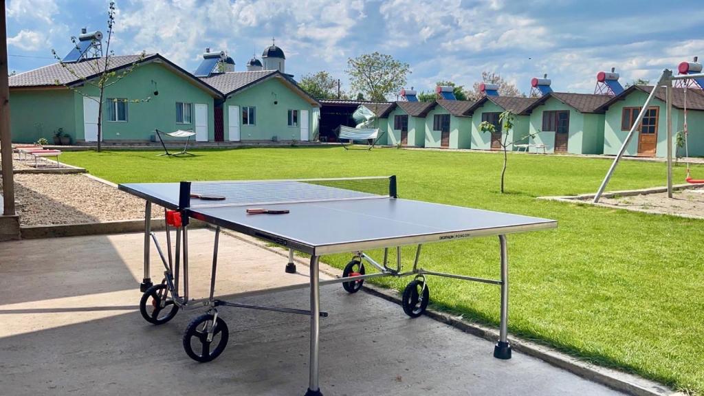 Stolní tenis v ubytování Pensiunea Onyx Vadu nebo okolí