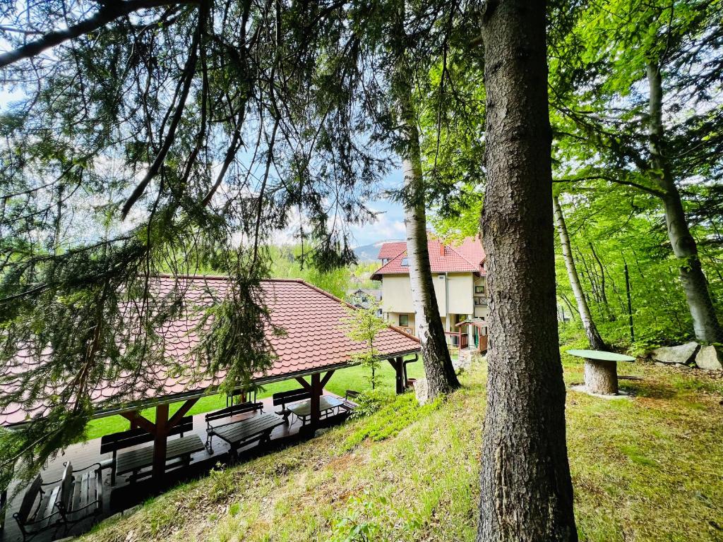 Příroda nedaleko penzionu