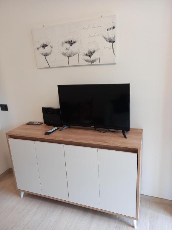 TV a/nebo společenská místnost v ubytování Casa con vista a Moena
